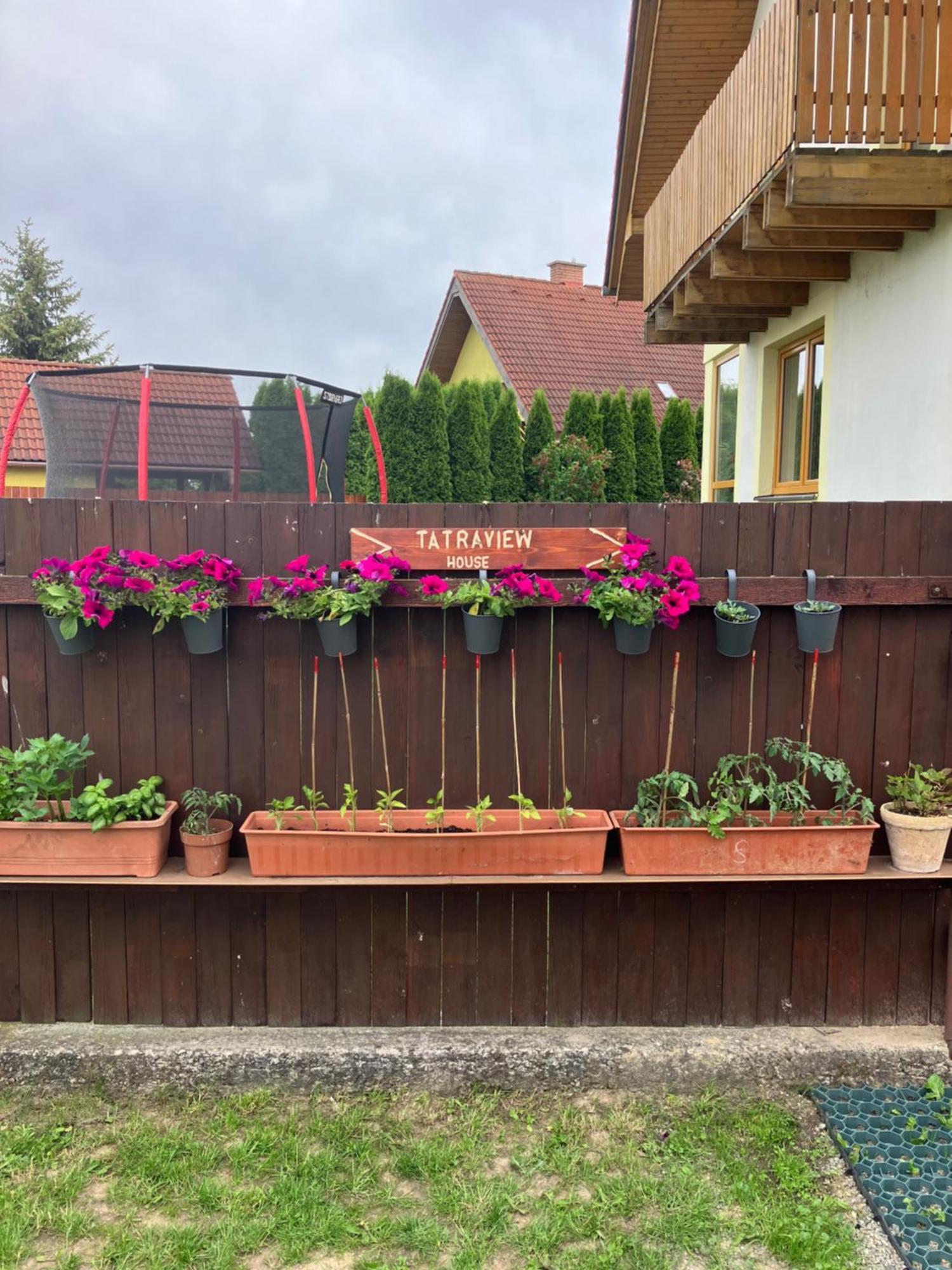 Tatraview House Lägenhet Vel'ka Lomnica Exteriör bild